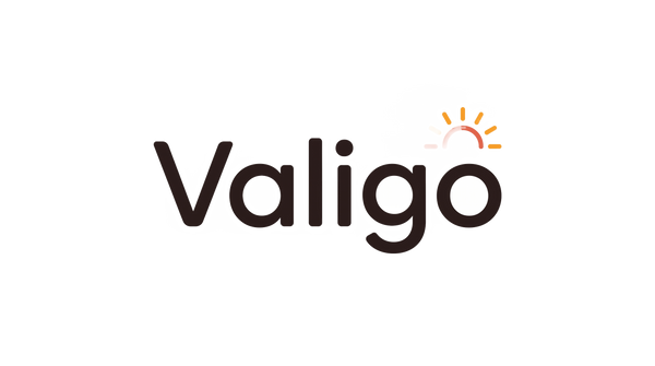 Valigo logo